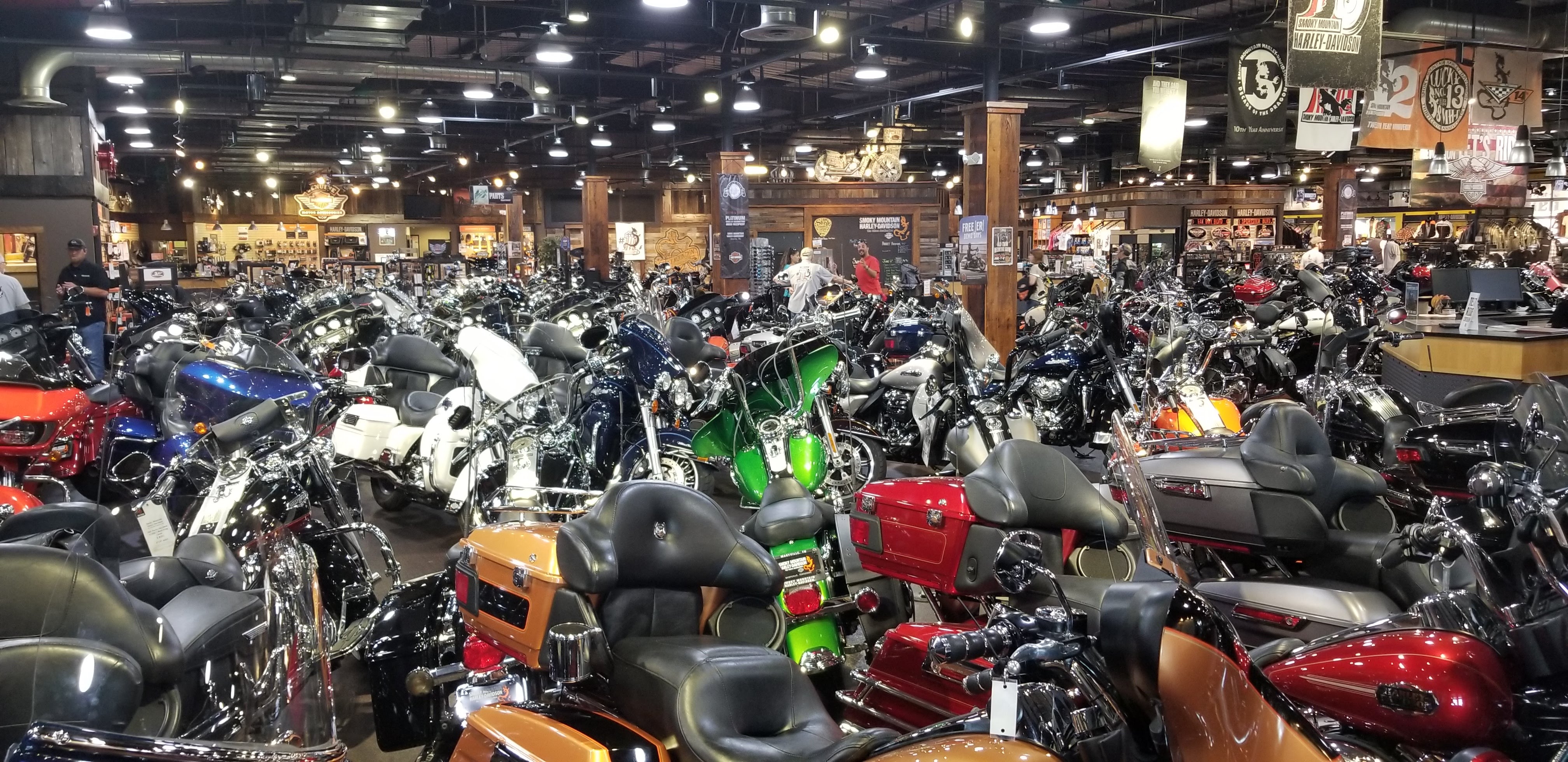 Tail of the Dragon 2019