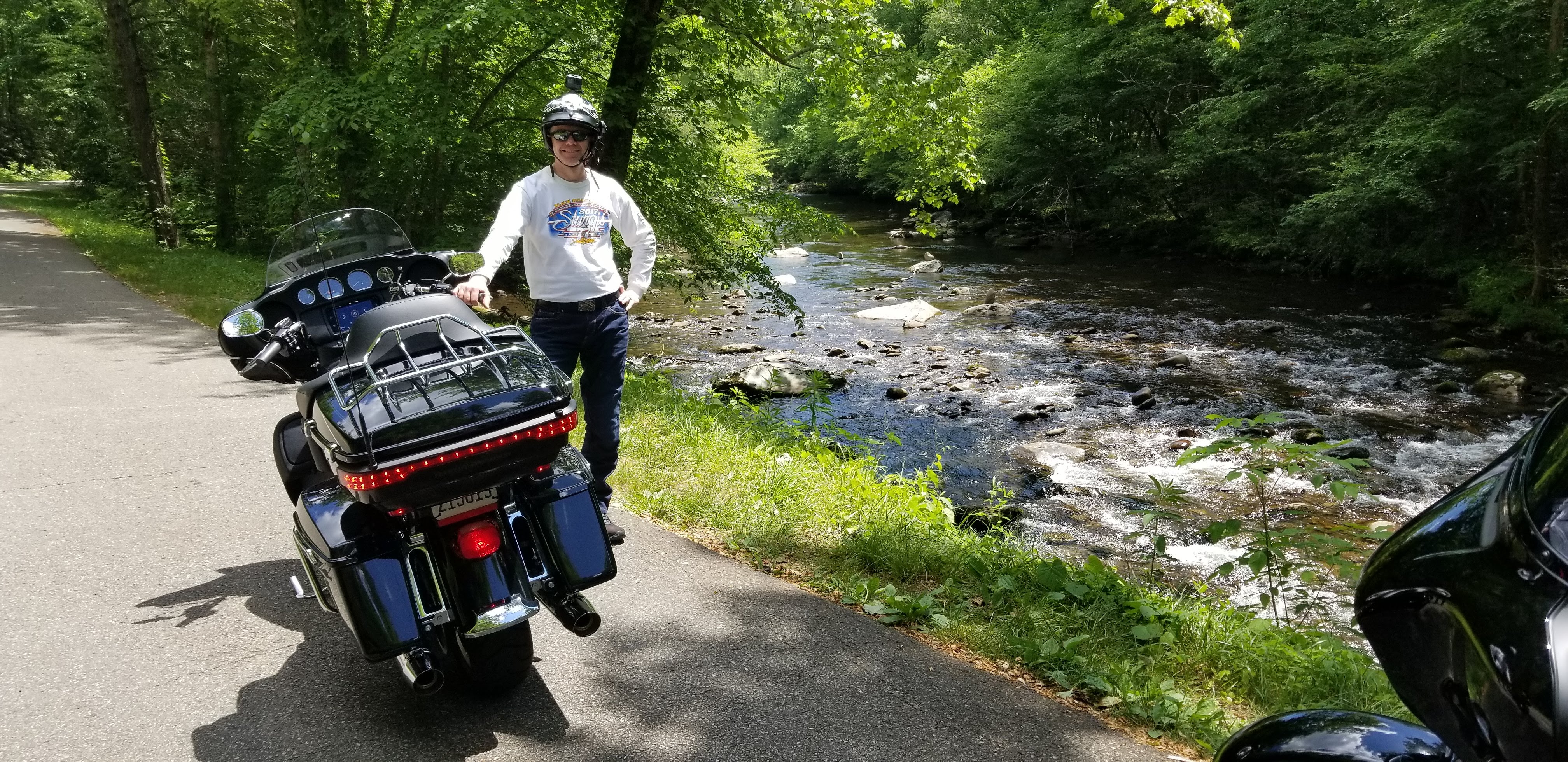 Tail of the Dragon 2019