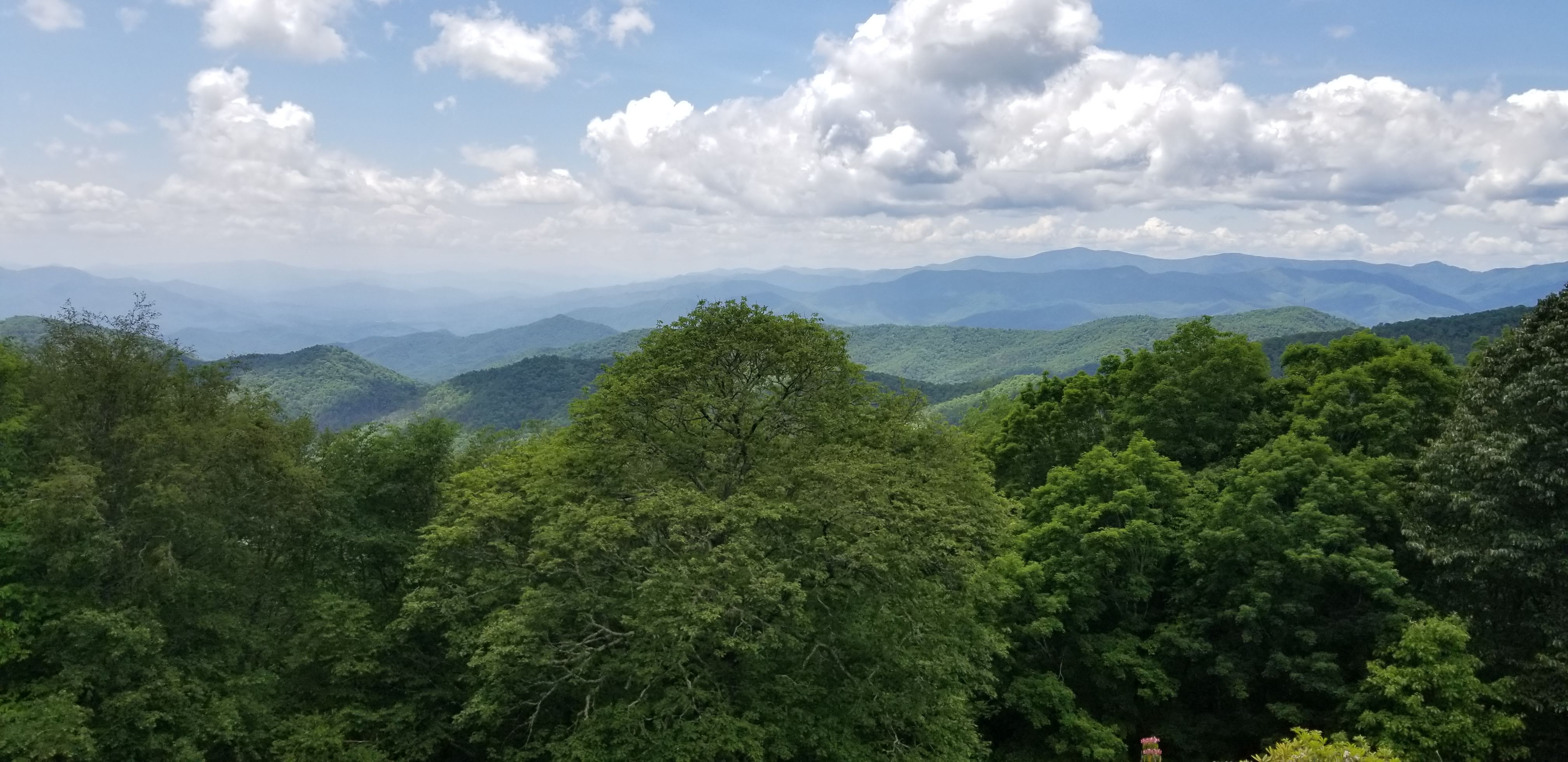 Tail of the Dragon 2019