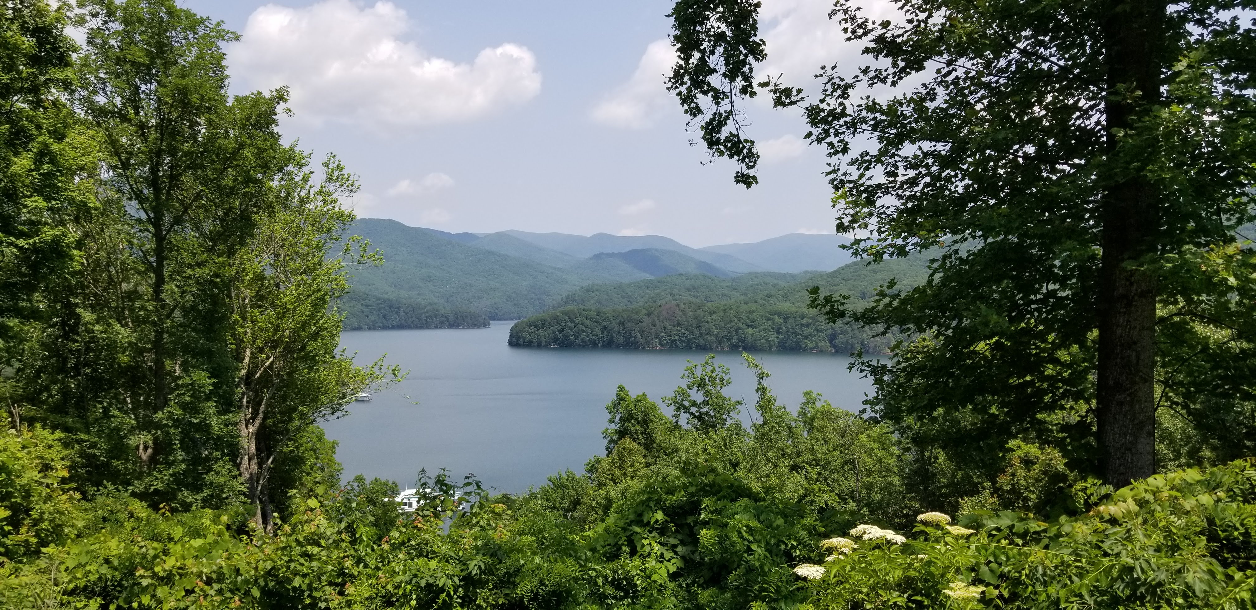 Tail of the Dragon 2019