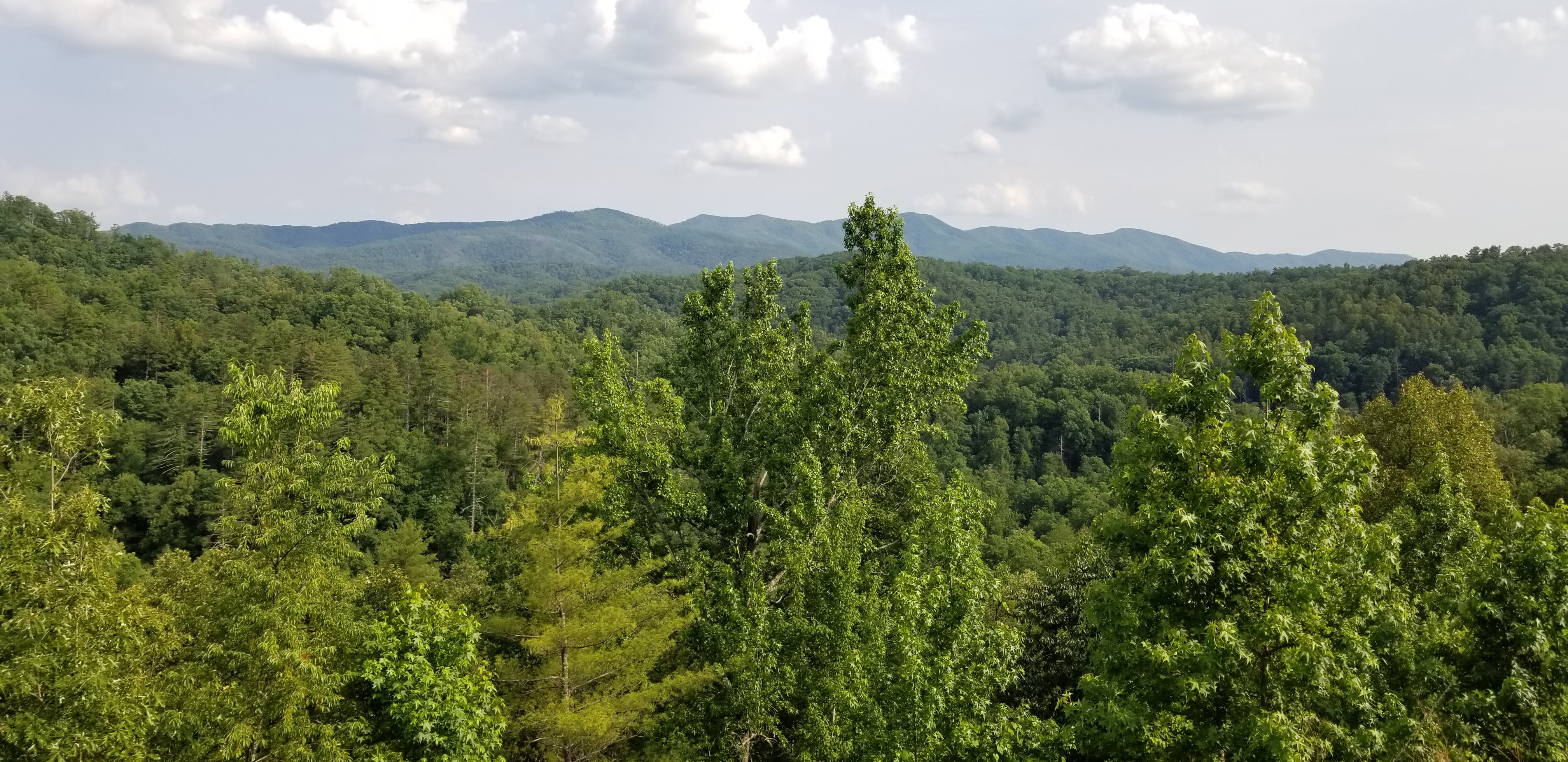 Tail of the Dragon 2019