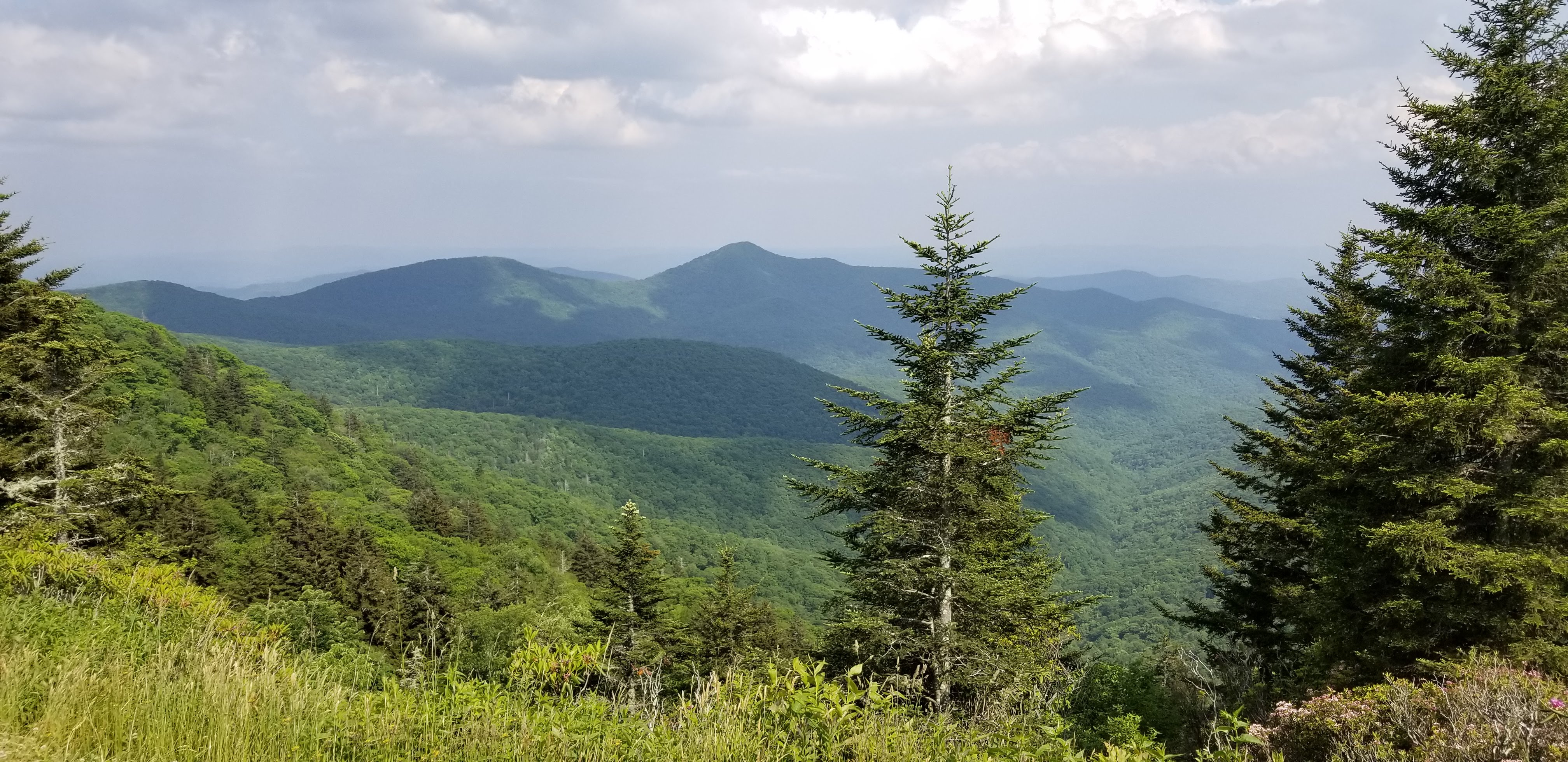Tail of the Dragon 2019