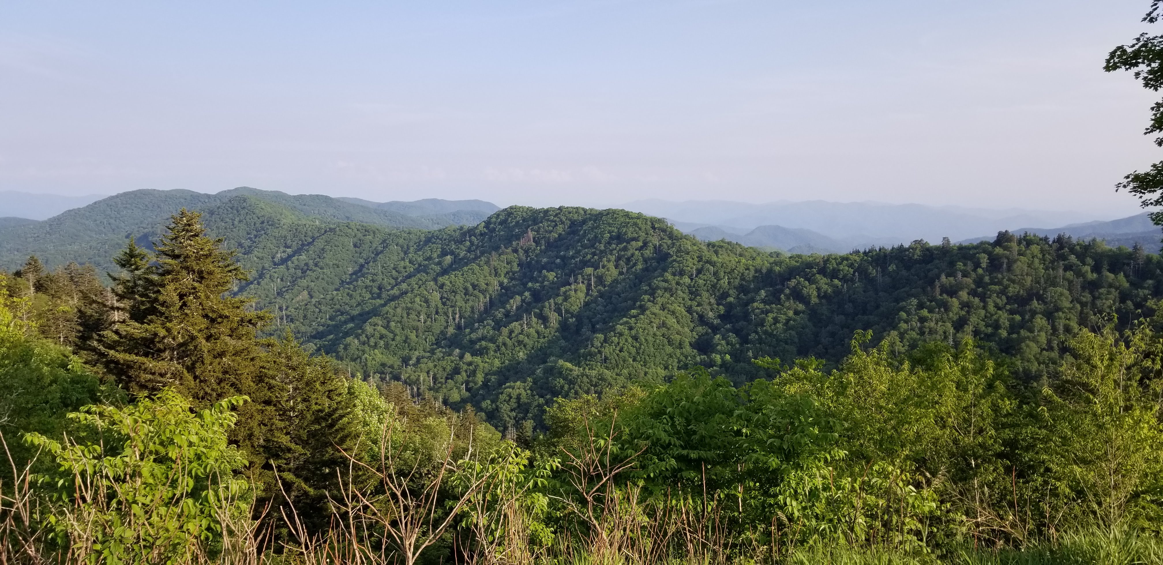 Tail of the Dragon 2019